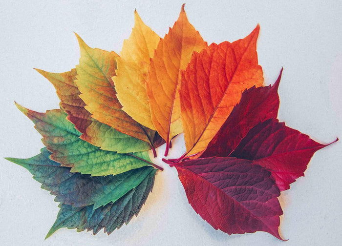 季節に合わせたスキンケアとは