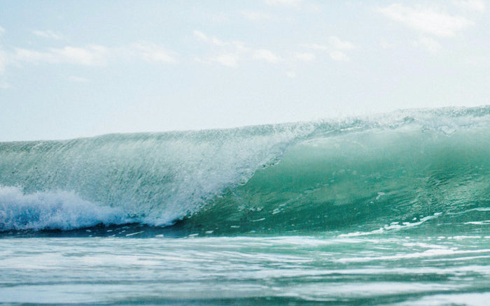 夏季休業のお知らせ