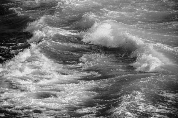 天然オイル界面活性剤 - Natural oil surfactants