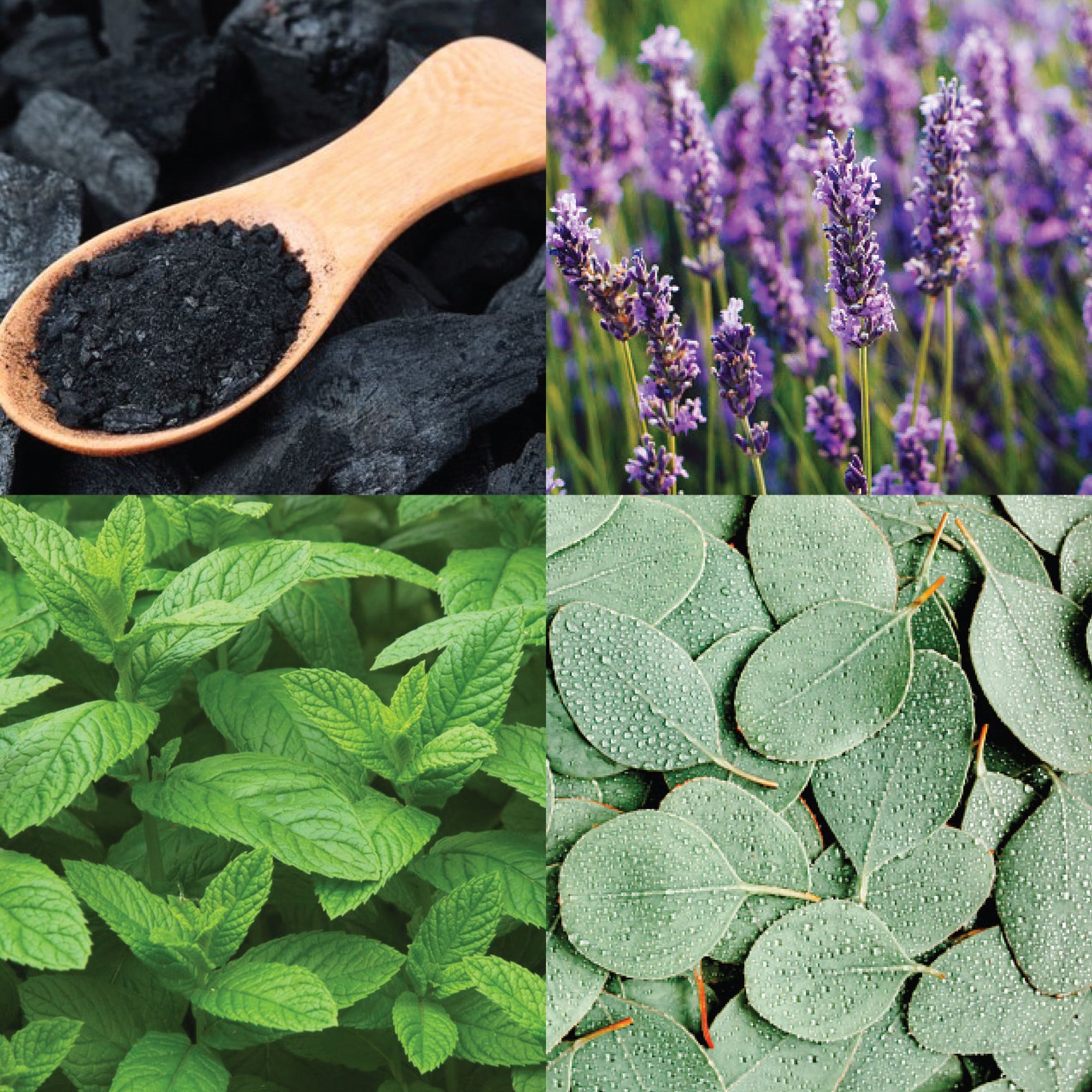 Facial Soap - フェイスソープ チャコールミント