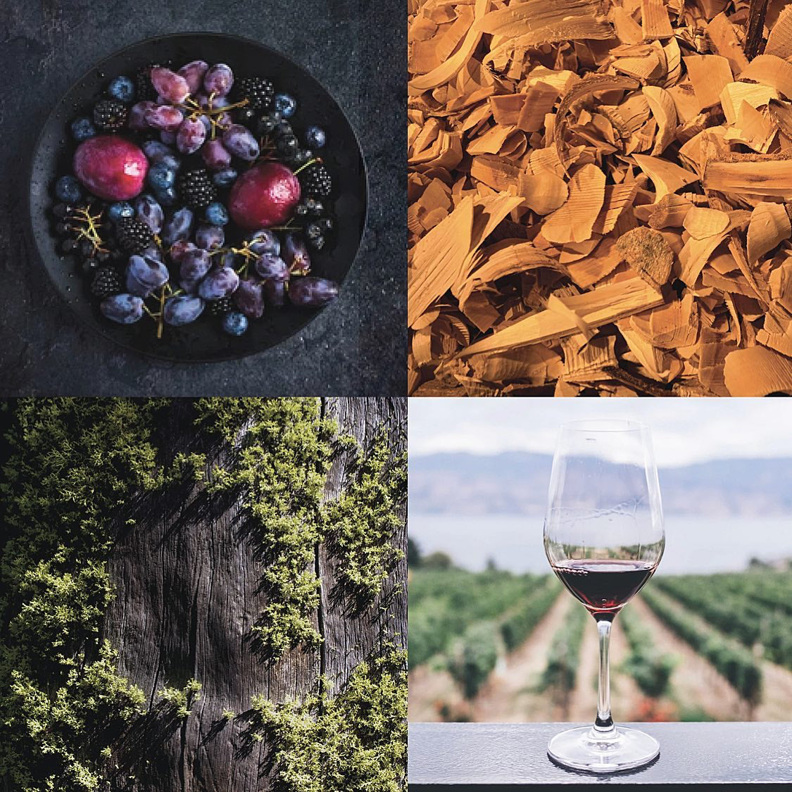 Wine Soap - ワインソープ