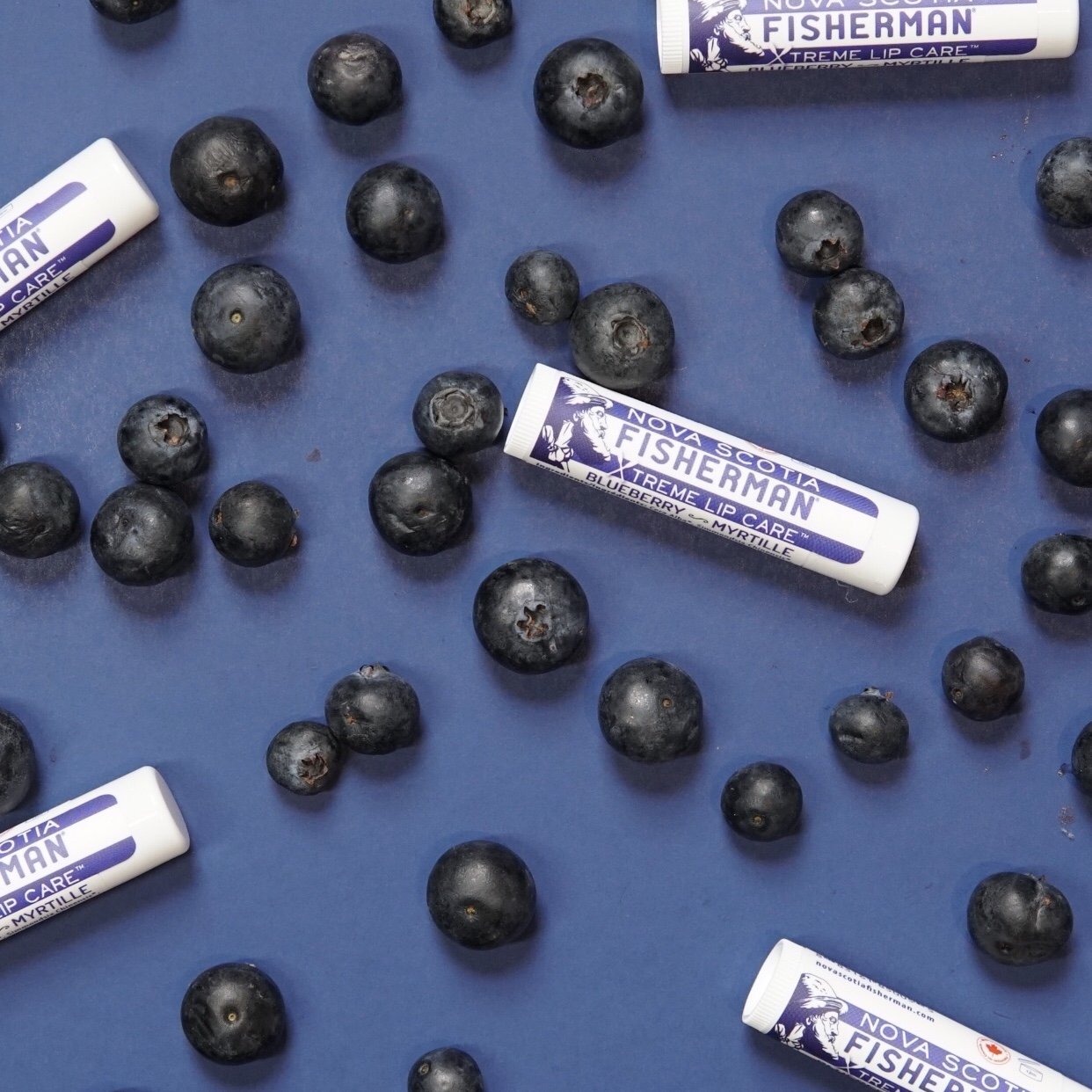 LIP BALM リップバーム-ブルーベリー(ダブルパック)